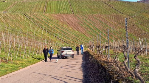 Fellbach und die Weinstadt: Ein kultureller Einblick