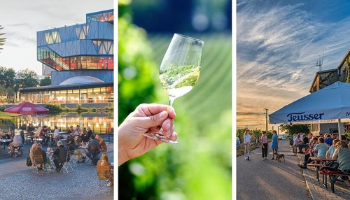 Heilbronner Weinsommer 2025: Weinproben direkt vor Ort