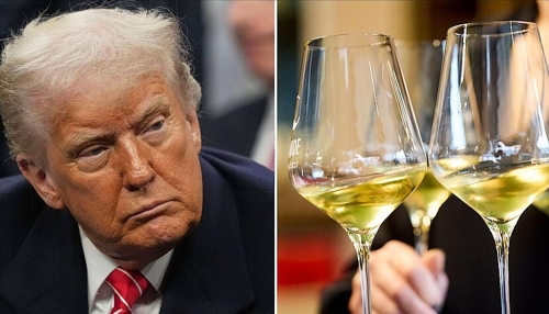 Trump droht mit Strafzöllen auf Wein: Winzer aus der Region Heilbronn besorgt