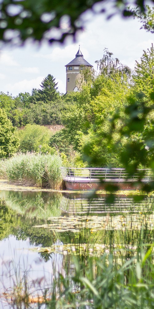 Erholungsgebiete in Heilbronn und ihre Verbindung zum Wein