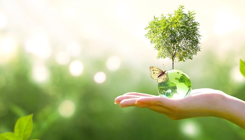 Earth Week 2025 an der Hochschule Heilbronn