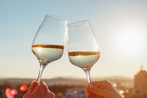 Aktionstag Heilbronn erleben – Wein, Wasser, Wissen