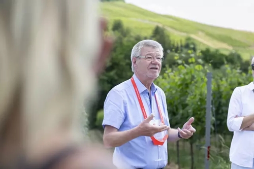 Weinerlebnisführung am Wein Panorama Weg in Heilbronn