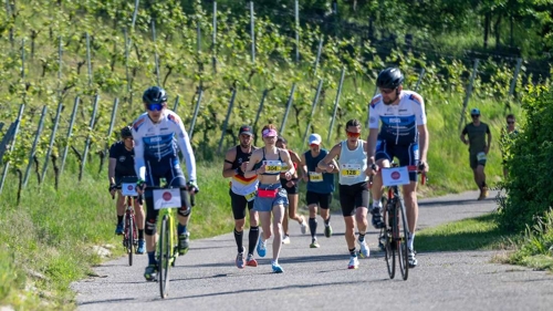 Trollinger Marathon in Heilbronn: Laufen durch die Weinberge