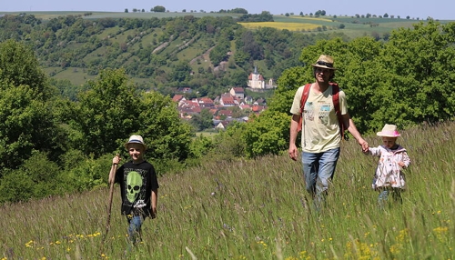 Jagsttal-Wiesen-Wanderung: Wein und Natur erleben