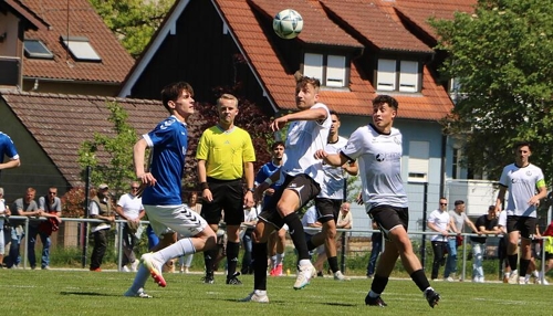 VfR Heilbronn im Abstiegskampf: Alarmglocken läuten