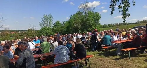 Kelterfest in Stetten: Weine der Heuchelberg Weingärtner im Grünen