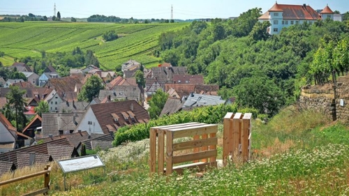 Picknick in den Weinbergen