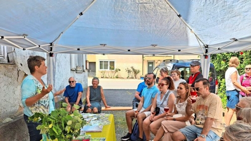 Wein, Wandern und Genuss in der Weinregion nahe Heilbronn