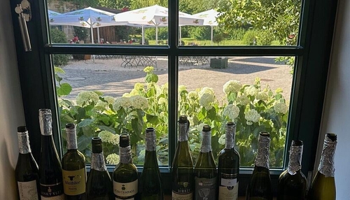 74 Weine konkurrieren um den Hohenloher Weißweinpreis