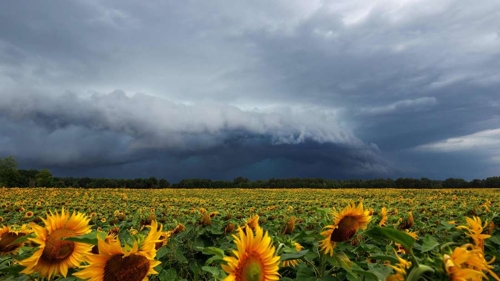 Wetterprognose: Ein feuchter Frühling für einen trockenen Sommer