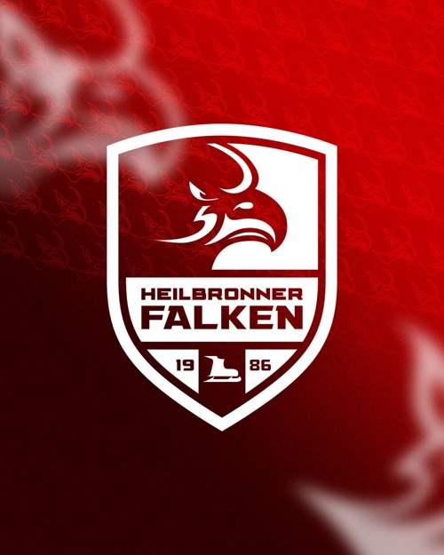 Heilbronner Falken: Neuzugang und Lizenzprobleme