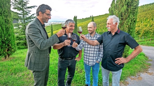 Weinfest – aktuelle Themen, Nachrichten & Bilder