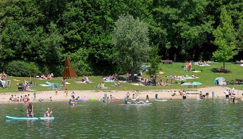 Wein am Breitenauer See