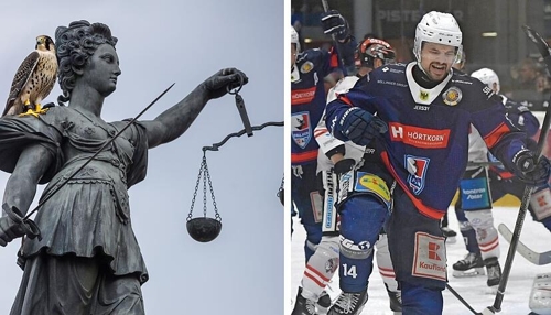 Heilbronner Falken erhalten Oberliga-Lizenz im Eishockey