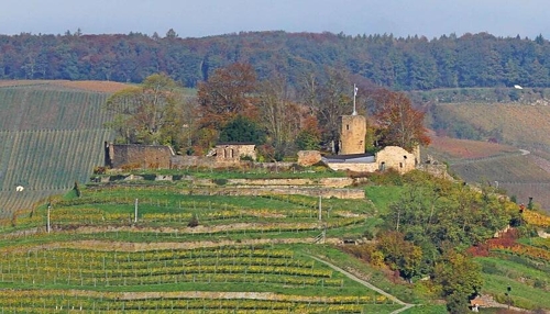 200 Jahre Weinbauverband Württemberg