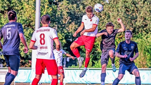 SV Fellbach vs. VfR Heilbronn: Zweikampfverhalten im Fokus