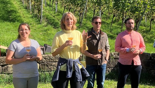 Weinbau in Heilbronn: Heimat- und Umweltschutz in einem